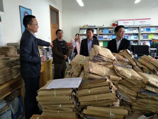检查组童副董事长检查审核性评估工作一角